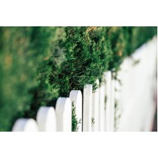 Stavba plotu a zástěny vlastními silami - Tipy a kreativní řešen